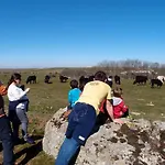El Mirador De La Cigueena - En La Sierra A 10 Min De Segovia Cabanillas del Monte