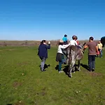 El Mirador De La Cigueena - En La Sierra A 10 Min De Segovia Farm stay *