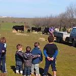 Casa Rural El Mirador De La Cigueena - En La Sierra A 10 Min De Segovia *