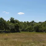 El Mirador De La Cigueena - En La Sierra A 10 Min De Segovia Farm stay