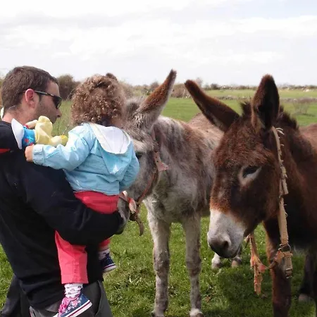 El Mirador De La Cigueena