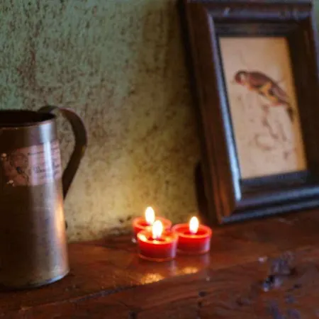 Çiftlik konaklama El Mirador De La Cigueena Cabanillas del Monte