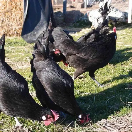 El Mirador De La Cigüeña *