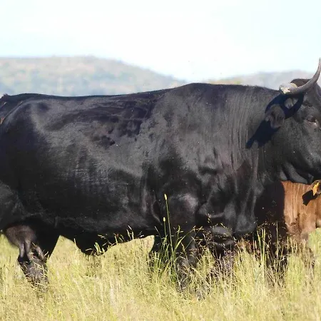 El Mirador De La Cigueena Cabanillas del Monte