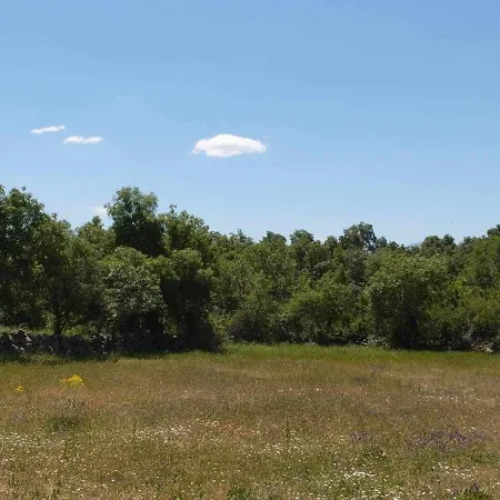 El Mirador De La Cigueena - En La Sierra A 10 Min De Segovia Séjour à la ferme