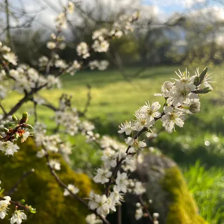 El Mirador De La Cigüeña Cabanillas del Monte