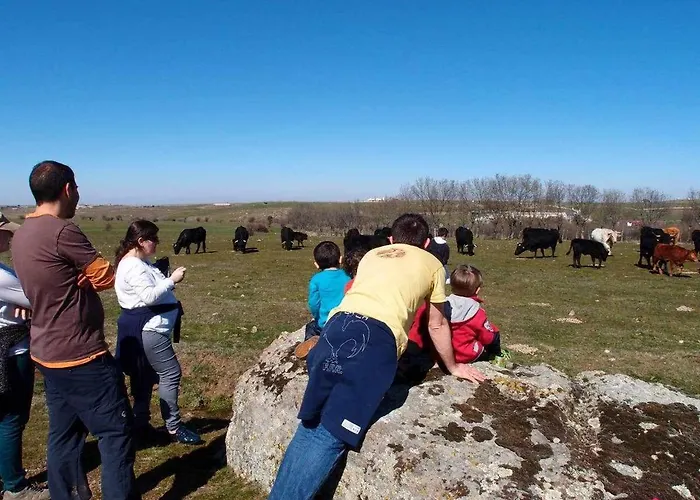 Casa Rural El Mirador De La Cigueena - En La Sierra A 10 Min De Segovia Cabanillas del Monte