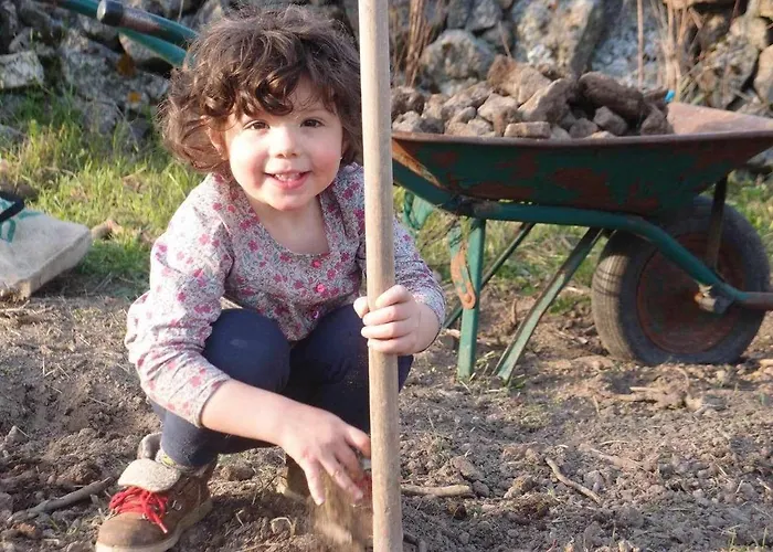 Casa Rural El Mirador De La Cigueena - En La Sierra A 10 Min De Segovia