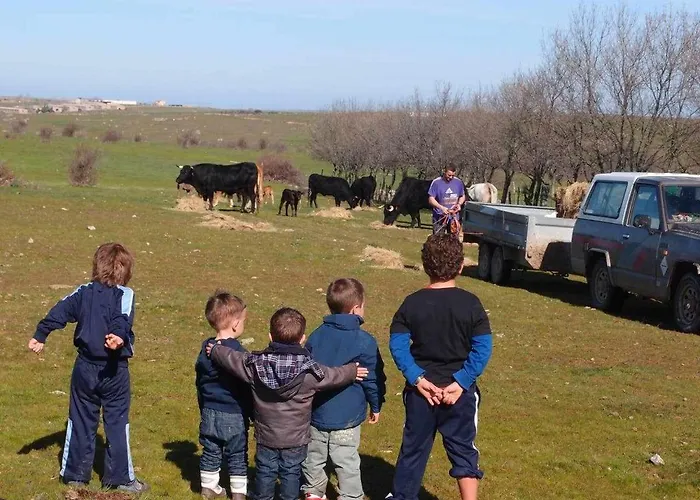 Casa Rural El Mirador De La Cigueena - En La Sierra A 10 Min De Segovia *