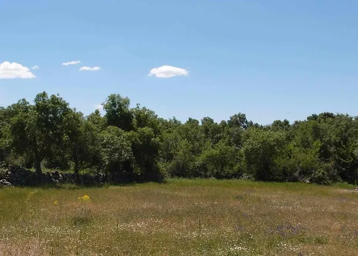 Casa Rural El Mirador De La Cigueena - En La Sierra A 10 Min De Segovia Κατάλυμα σε φάρμα
