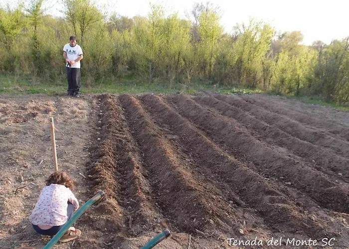 Çiftlik konaklama Casa Rural El Mirador De La Cigueena - En La Sierra A 10 Min De Segovia Cabanillas del Monte