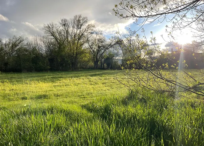 Κατάλυμα σε φάρμα Casa Rural El Mirador De La Cigueena - En La Sierra A 10 Min De Segovia Cabanillas del Monte